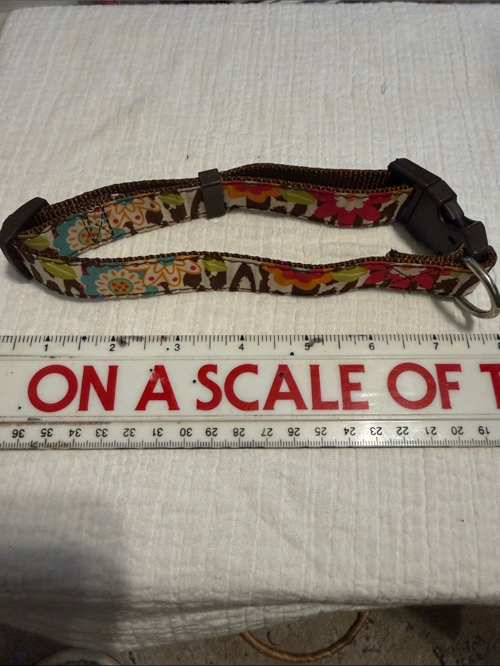 Dog Collar Floral Print Adjustable  Collar - Brown, Pink, Blue Accents clean